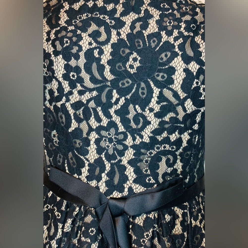 Nieman Marcus Roberto Rodriguez For Target Black Lace Cocktail Dress SZ … - Picture 6 of 13